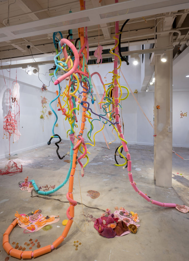 Colorful fine art installation by Emily Hoxworth Hager composed of mixed media 